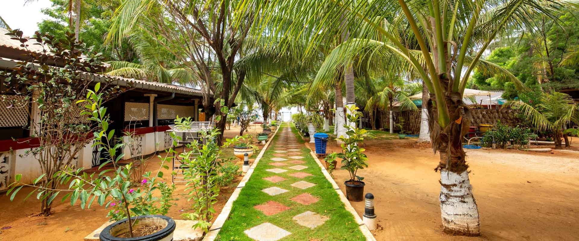 Coconut Beach Lodge - Gateway to East